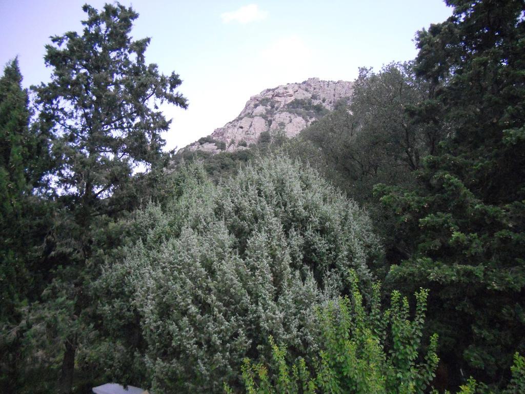 Agriturismo La Casa Delle Fate Loiri Porto San Paolo Eksteriør billede