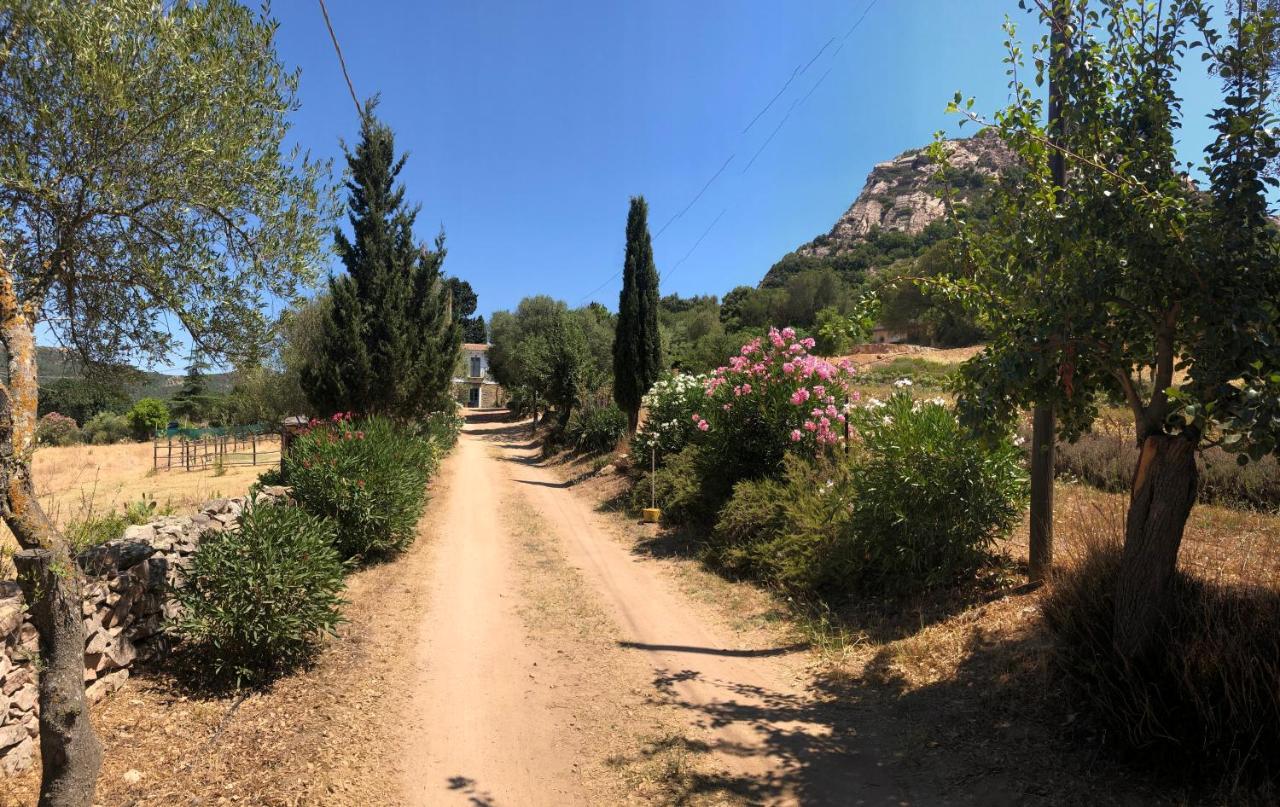 Agriturismo La Casa Delle Fate Loiri Porto San Paolo Eksteriør billede