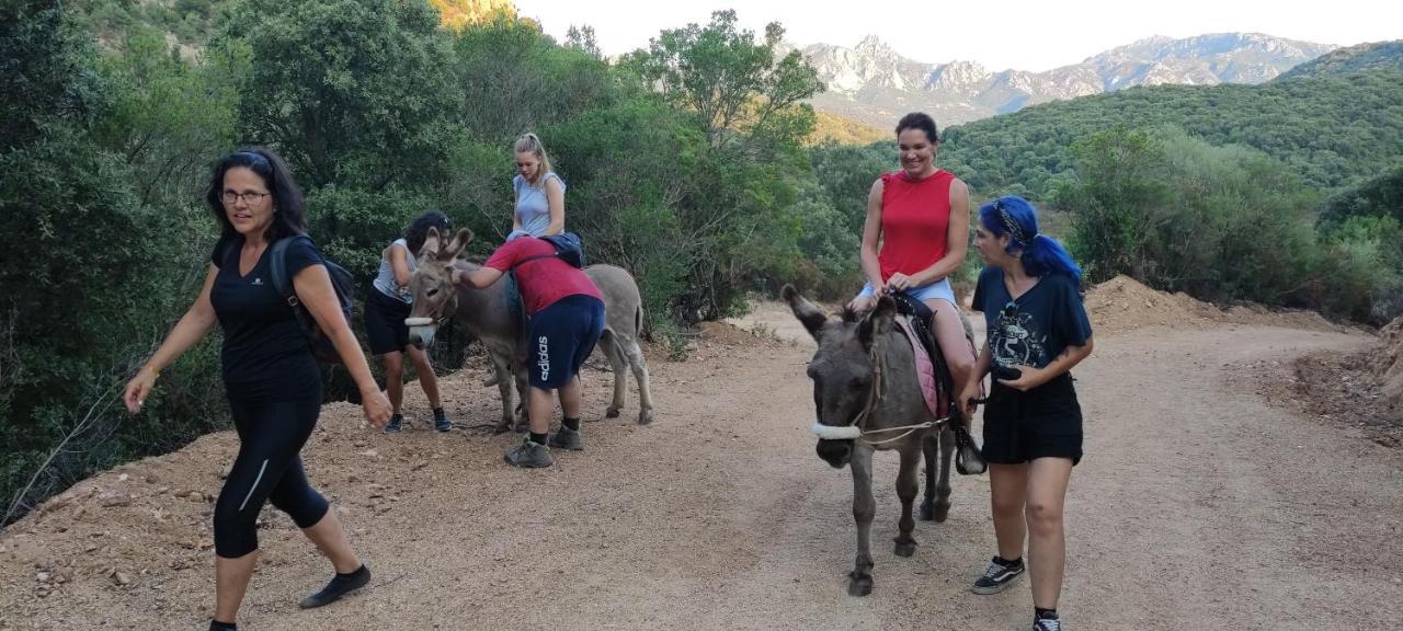 Agriturismo La Casa Delle Fate Loiri Porto San Paolo Eksteriør billede
