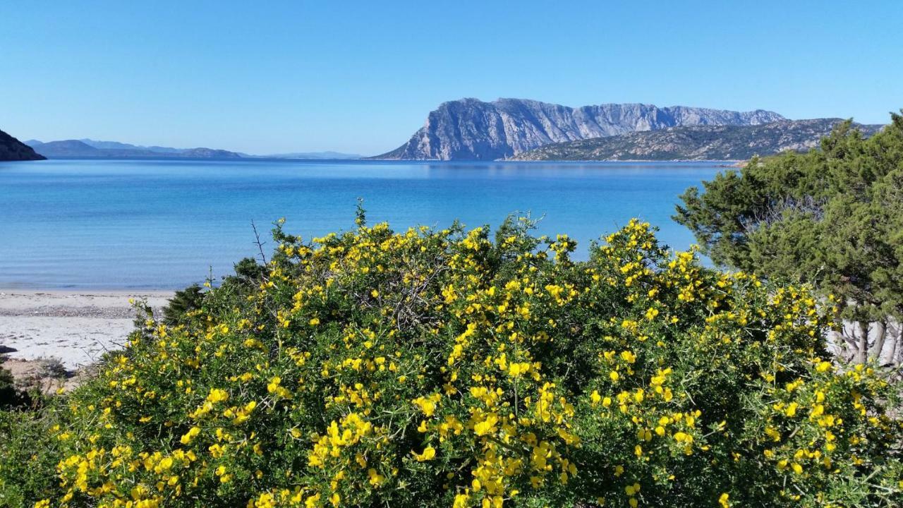 Agriturismo La Casa Delle Fate Loiri Porto San Paolo Eksteriør billede