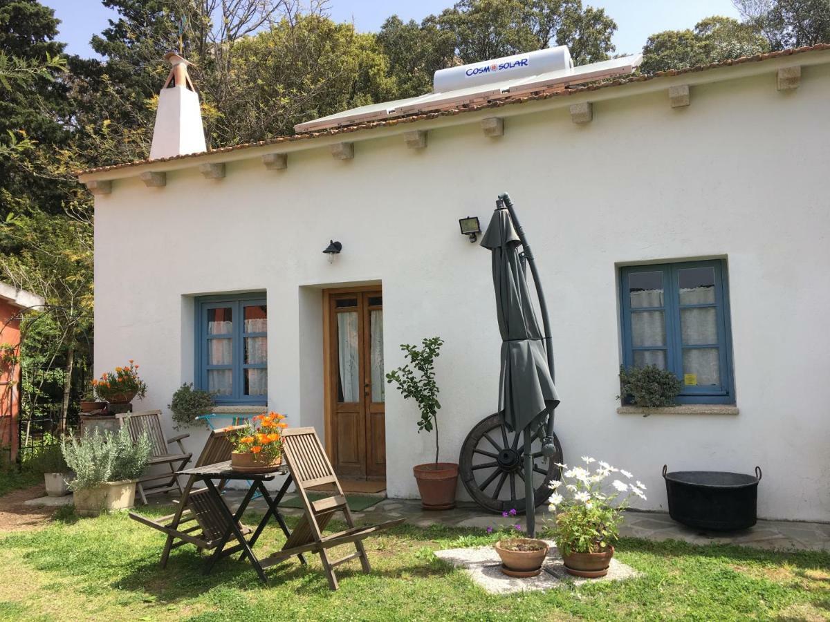 Agriturismo La Casa Delle Fate Loiri Porto San Paolo Eksteriør billede