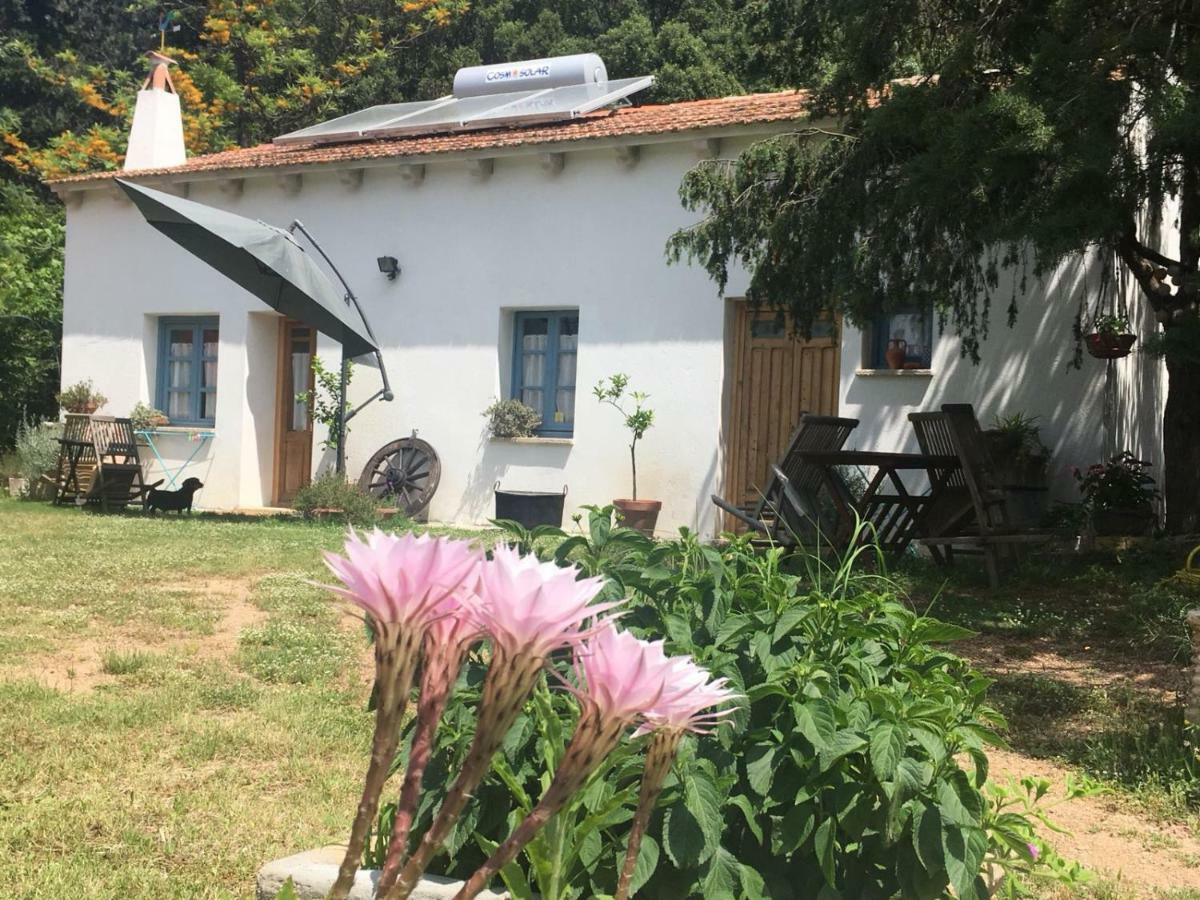 Agriturismo La Casa Delle Fate Loiri Porto San Paolo Eksteriør billede